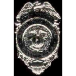 USMC MARINE CORPS MCAS CRASH FIRE MINI BADGE PIN